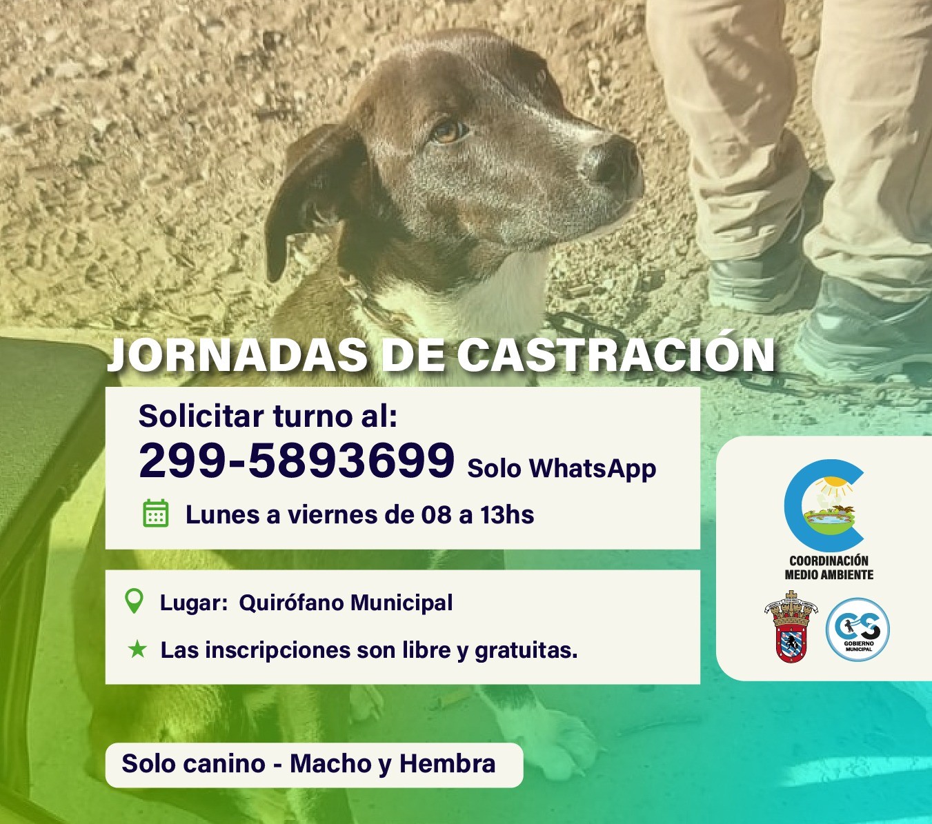 /public/JORNADAS-DE-CASTRACION-GRATUITAS_image_-688caaeac5a87.jpg