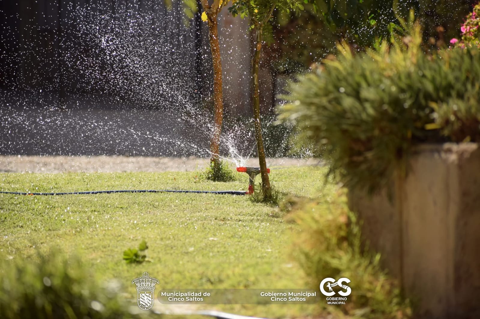 🌿 Limpieza y embellecimiento de espacios verdes en calle Ecuador ✨