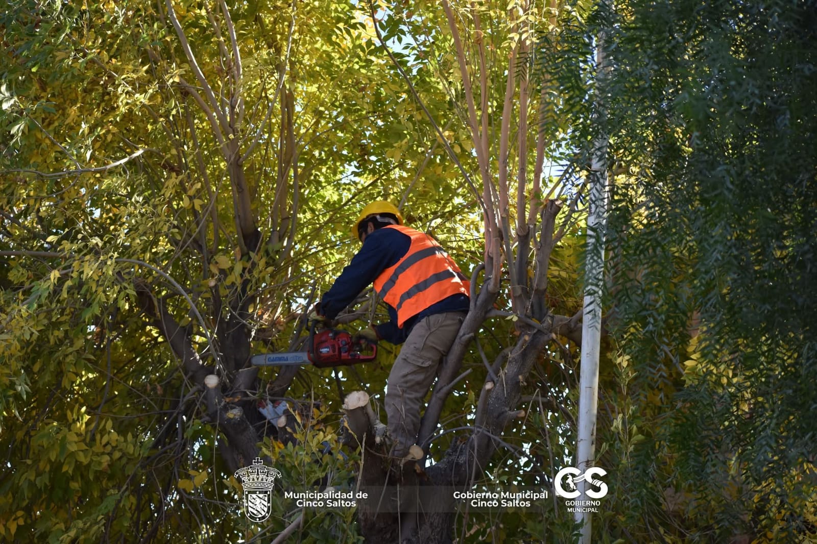 Trabajos de poda y mantenimiento en calle Ceferino Namuncurá