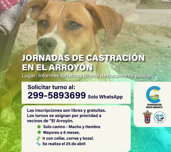 Jornadas de castración canina gratuita en El Arroyón